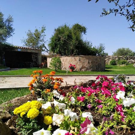 El Lagar Del Abuelo En Los Arribes Del Duero, Badilla, Zamora Eksteriør bilde