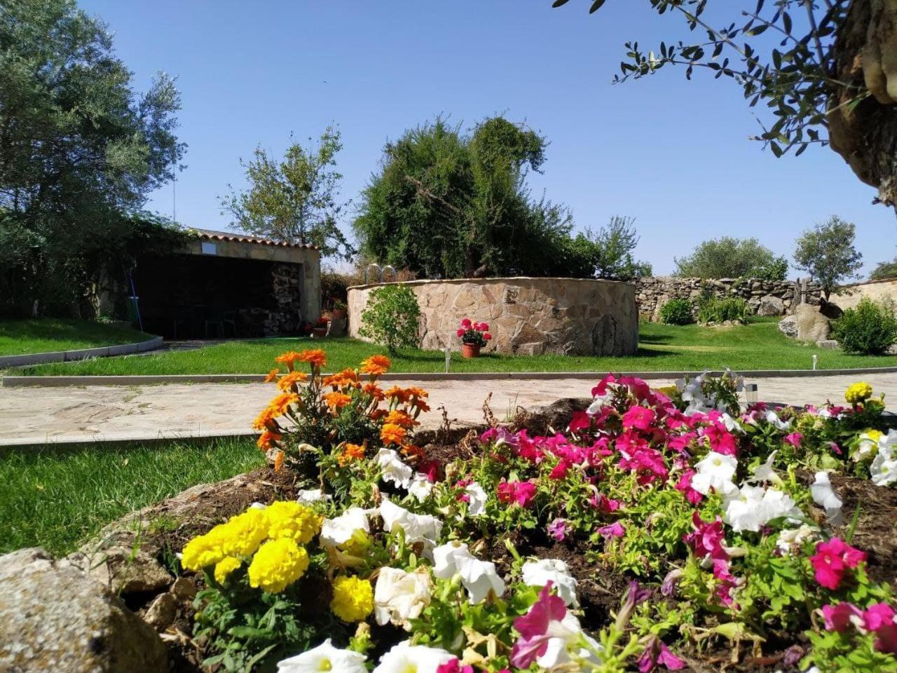 El Lagar Del Abuelo En Los Arribes Del Duero, Badilla, Zamora Eksteriør bilde