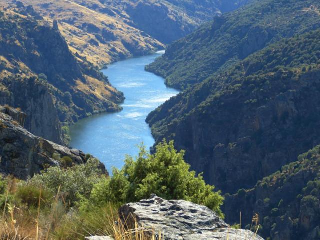 El Lagar Del Abuelo En Los Arribes Del Duero, Badilla, Zamora Eksteriør bilde
