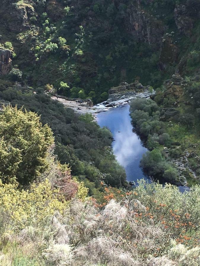 El Lagar Del Abuelo En Los Arribes Del Duero, Badilla, Zamora Eksteriør bilde